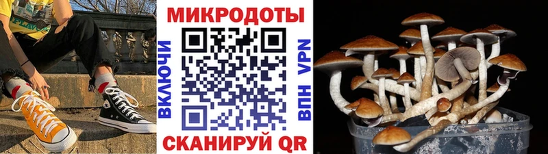 Псилоцибиновые грибы ЛСД  omg зеркало  Райчихинск 